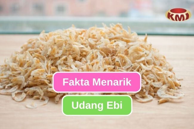 10 Fakta Menarik tentang Udang Ebi yang Perlu Kamu Tahu